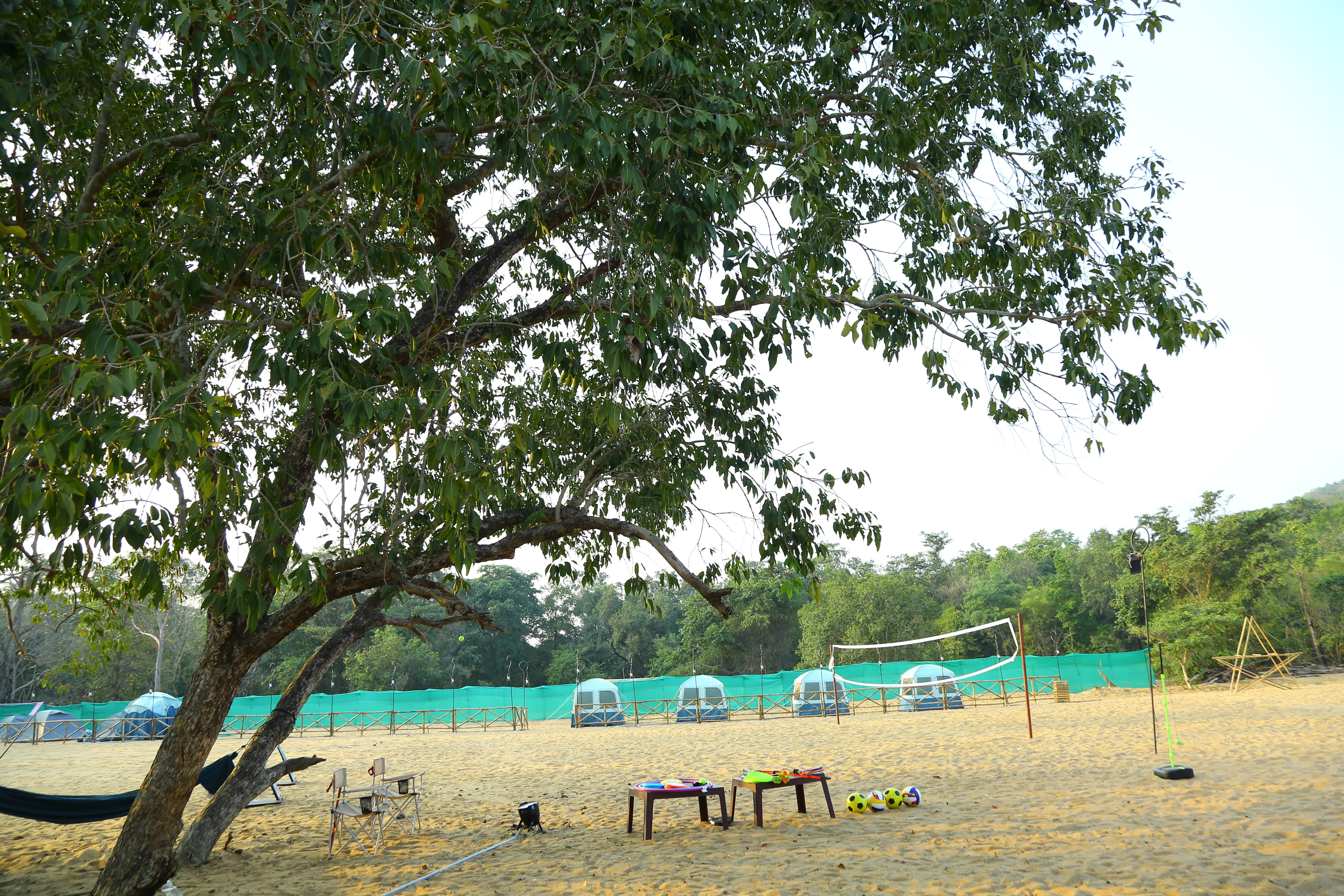 kaleshwaram tent city setup