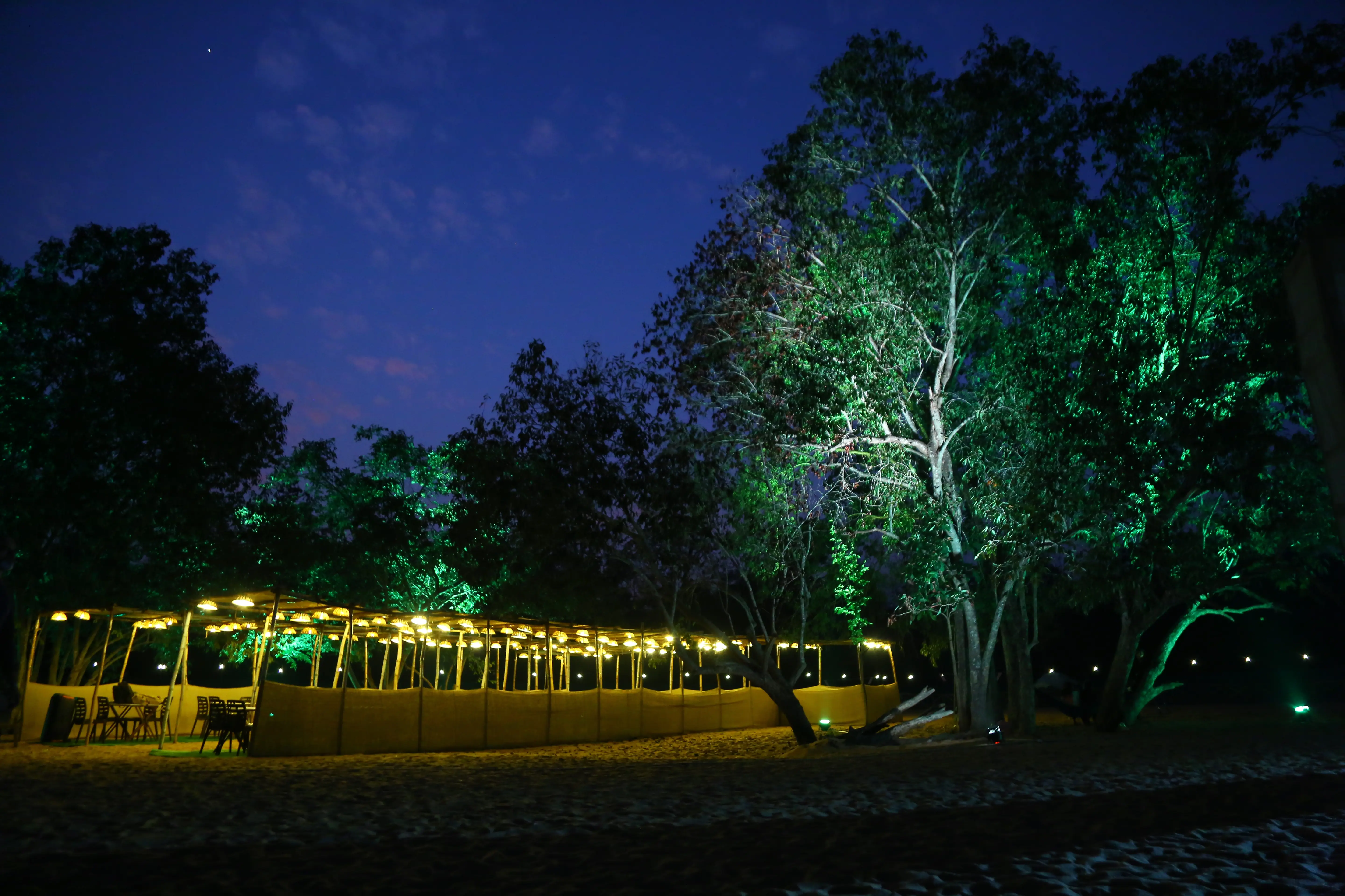 bamboo architecture at Blackberry Wilderness Camp