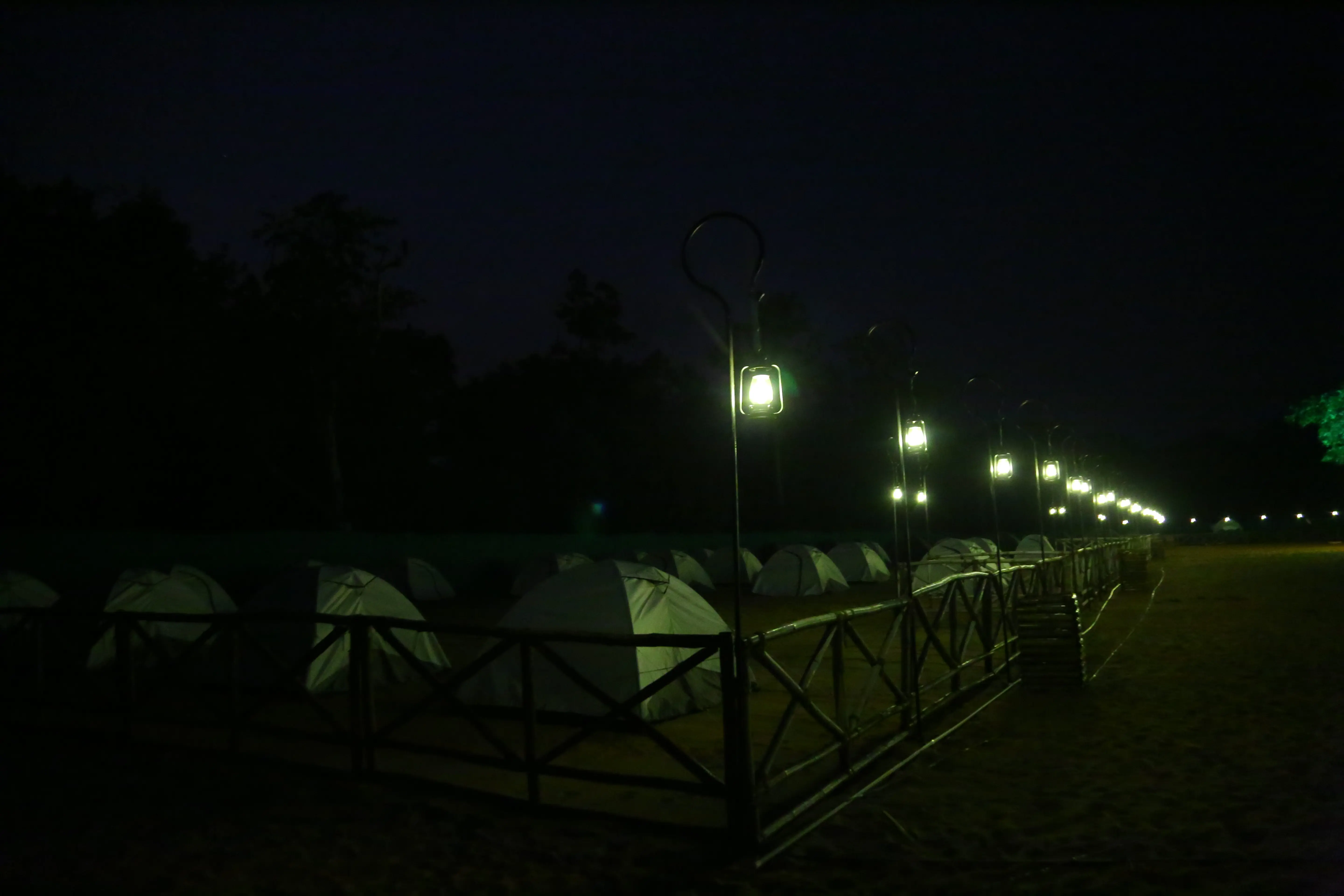 Tadvai Huts – forest hut retreat